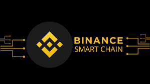 BNB (Binance Coin) क्या है? | Everything about BNB Coin in Hindi